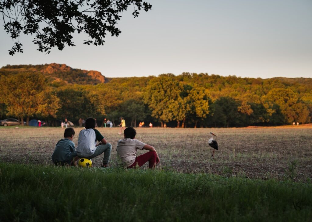 Three people watch a field with a bird.