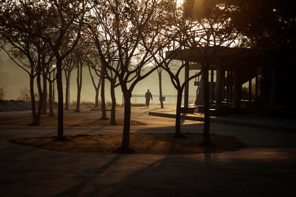 a person walking through a park at sunset