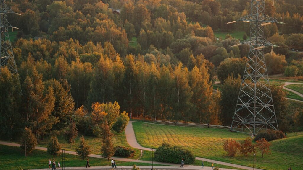 Autumn forest with power lines and walking path