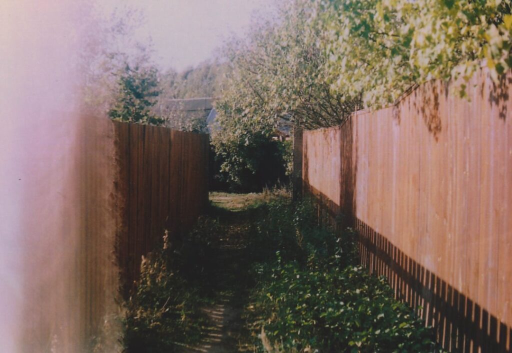 green plants beside brown wooden fence