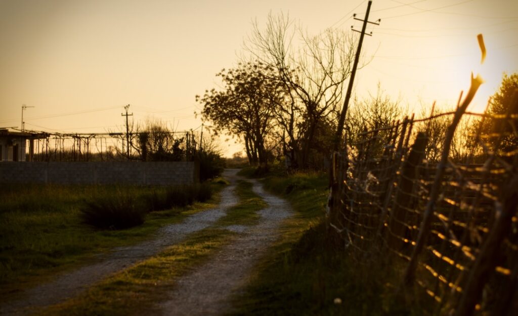 Dirt road leads through a rural landscape at sunset