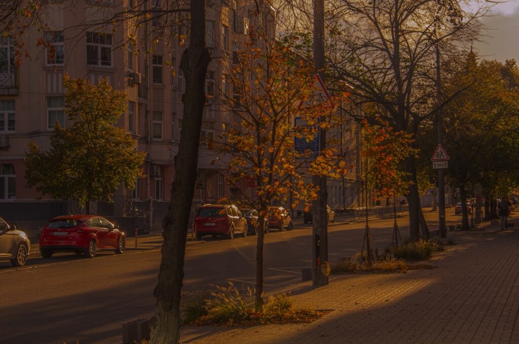 A city street lined with parked cars and tall buildings