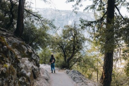 Person walking on a forest trail with mountains behind