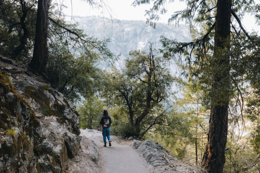 Person walking on a forest trail with mountains behind