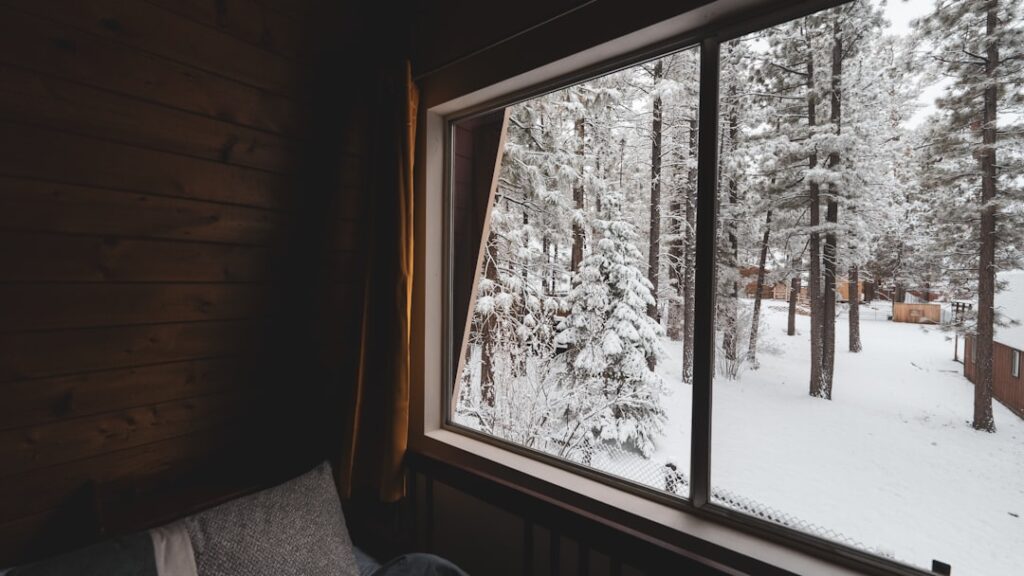 a window with a view of a snowy forest