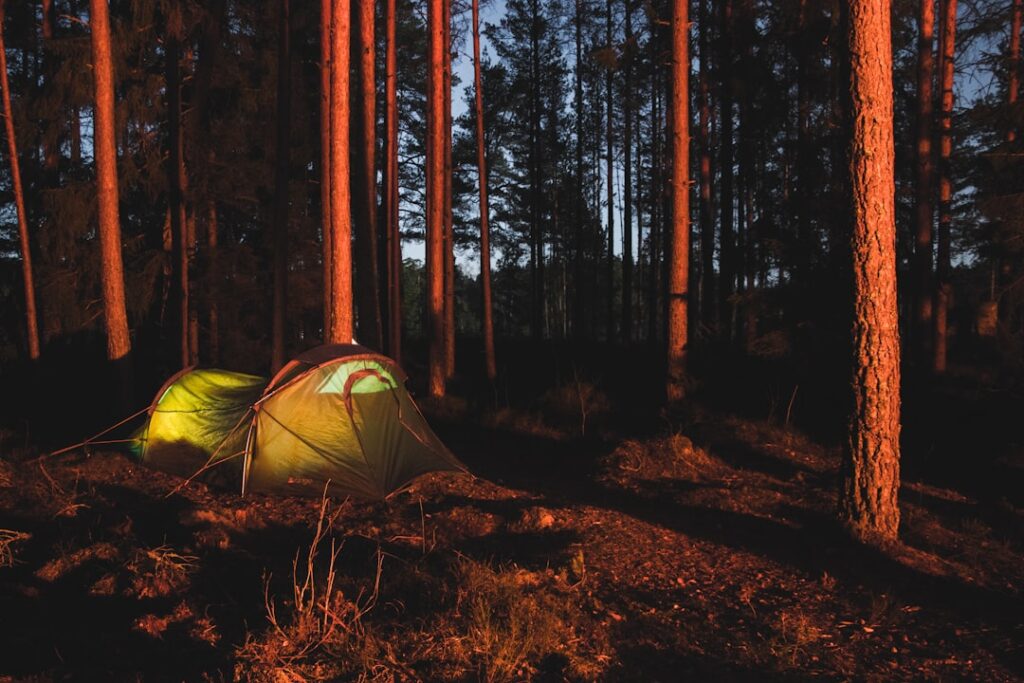 green camping tent