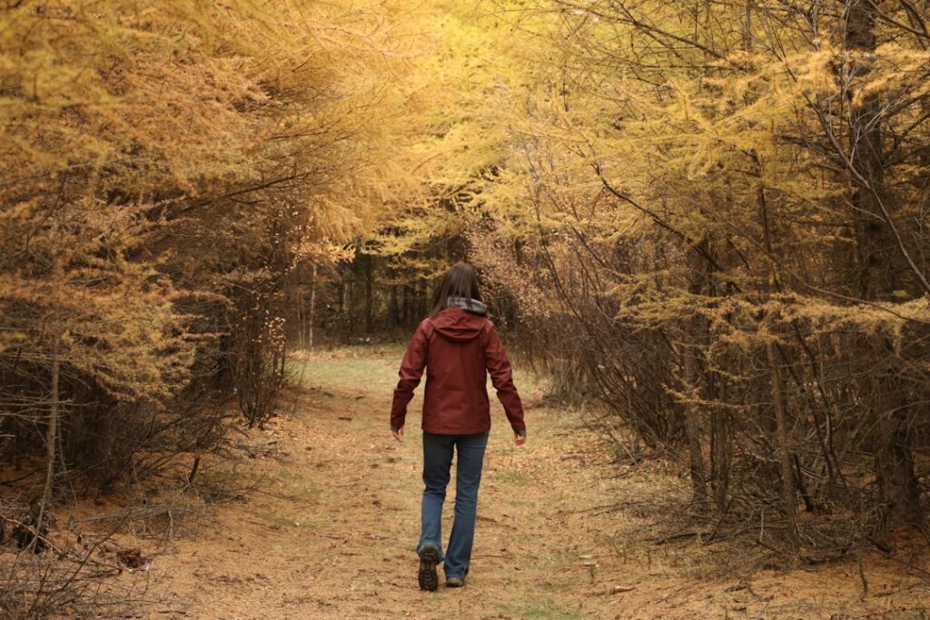 A person walks down a path in an autumn forest.