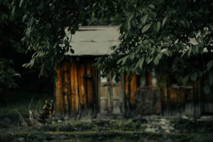 A small shack sitting in the middle of a forest