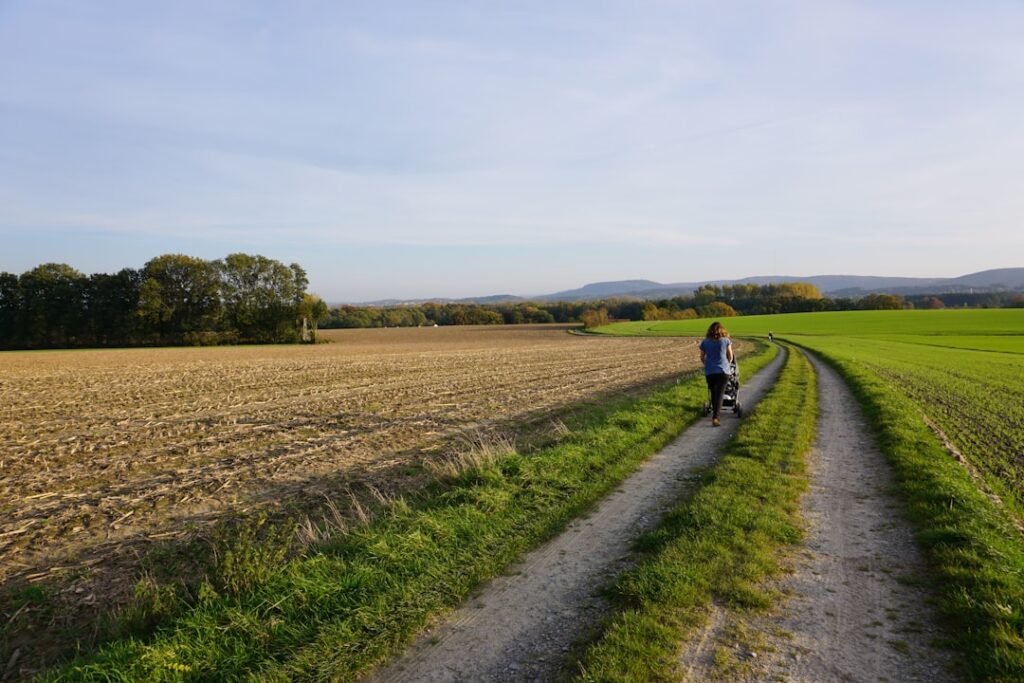 Woman walking dog on dirt path through fields.