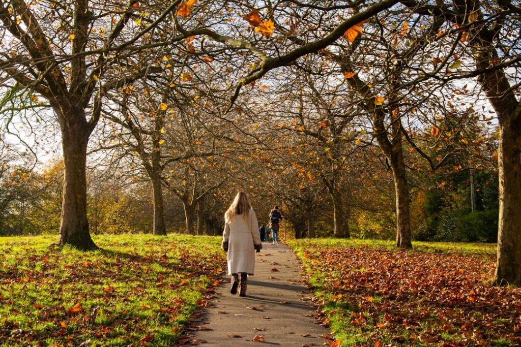 A person walks down a path in an autumn park.