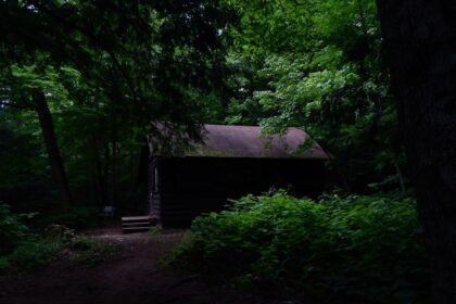 a small cabin in the middle of a forest
