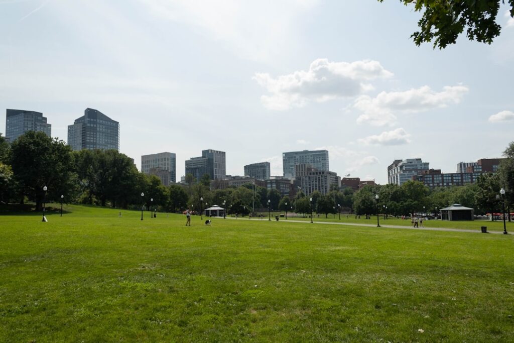 A grassy field with a city in the background
