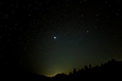 the night sky with stars and trees in the foreground