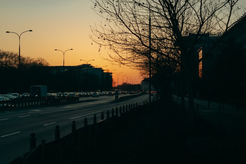 City street at sunset with bare trees.
