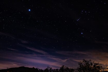 silhouette of trees under blue sky during night time