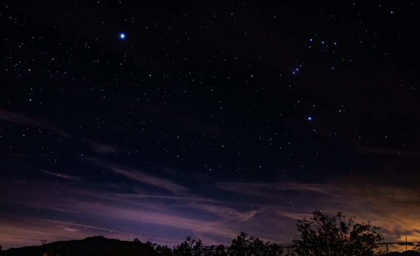 silhouette of trees under blue sky during night time