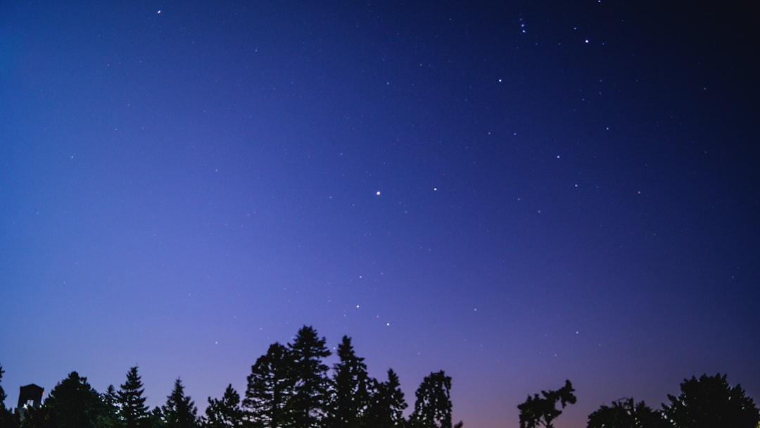 Kuriems Zodiako ženklams 2026 vasara bus lūžio taškas? Astrologų žvilgsnis į meilę