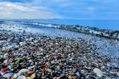 a beach covered in lots of different colored rocks