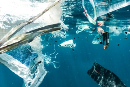 a group of garbage floating in the ocean