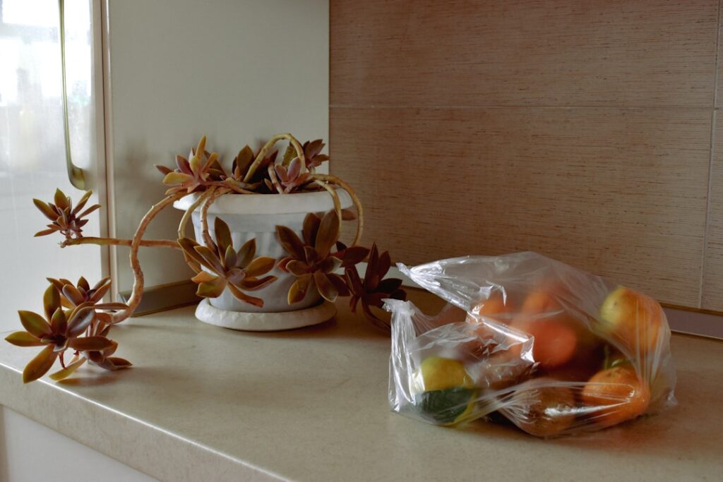 a couple of bags of food