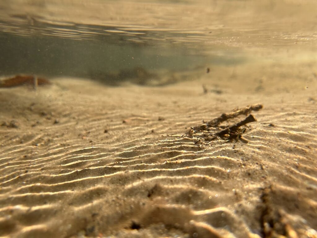 An underwater view of a sandy beach