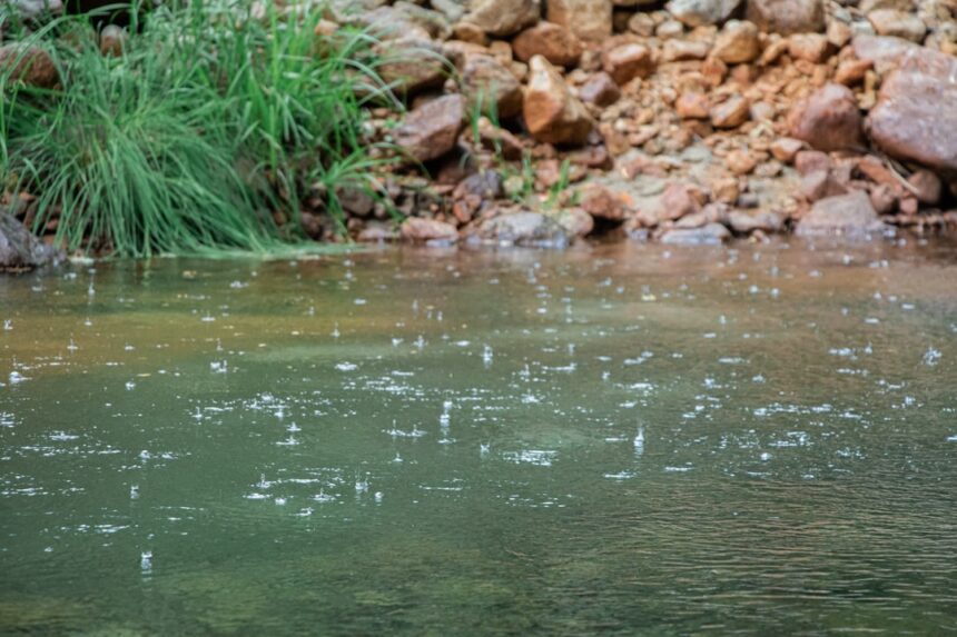brown rocks beside green grass and body of water during daytime