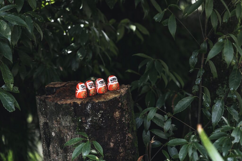 Four daruma dolls on a tree stump in forest.