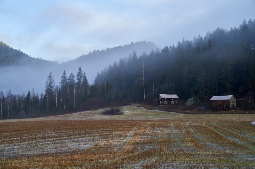 Foggy morning over a rural landscape with cabins.