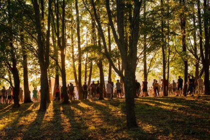 Silhouetted figures gather in a sun-dappled forest clearing.