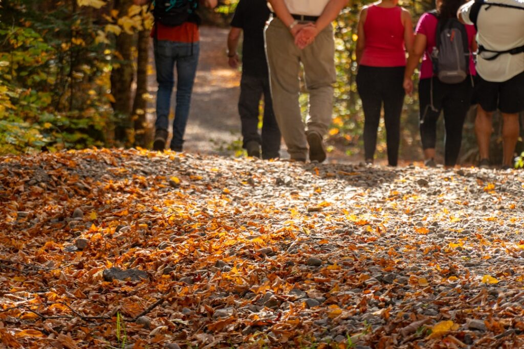Group of hikers walking on a path with autumn leaves.
