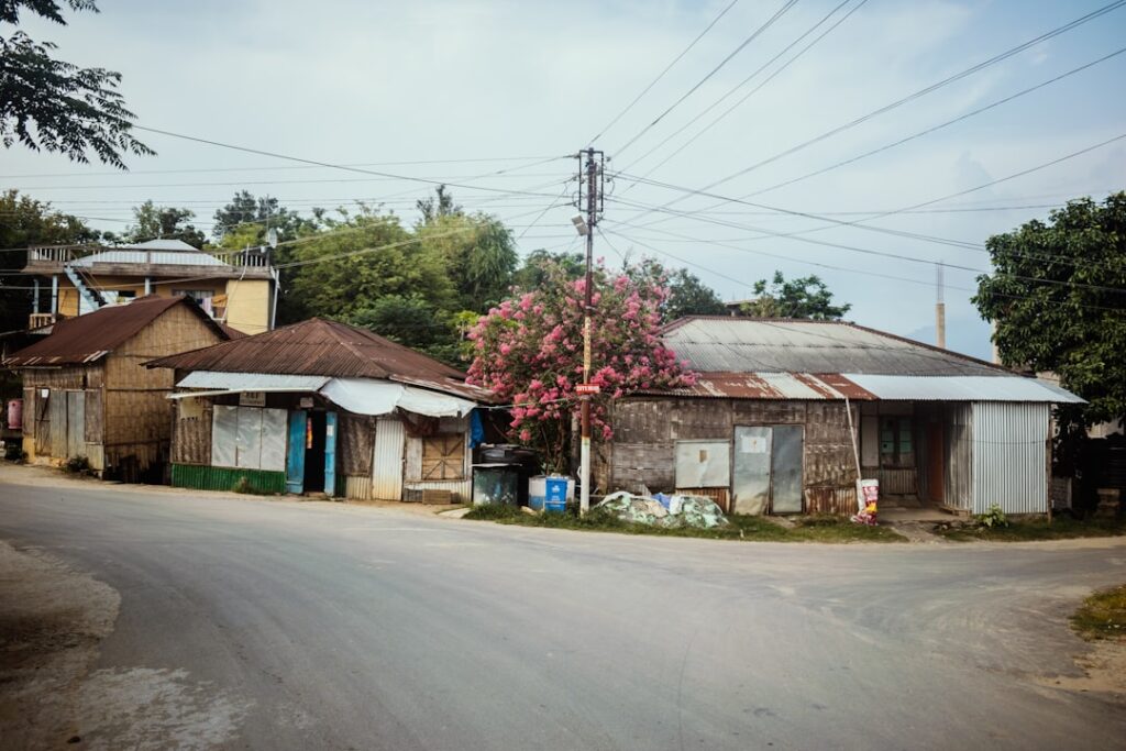 Rural street scene with houses and blooming tree.