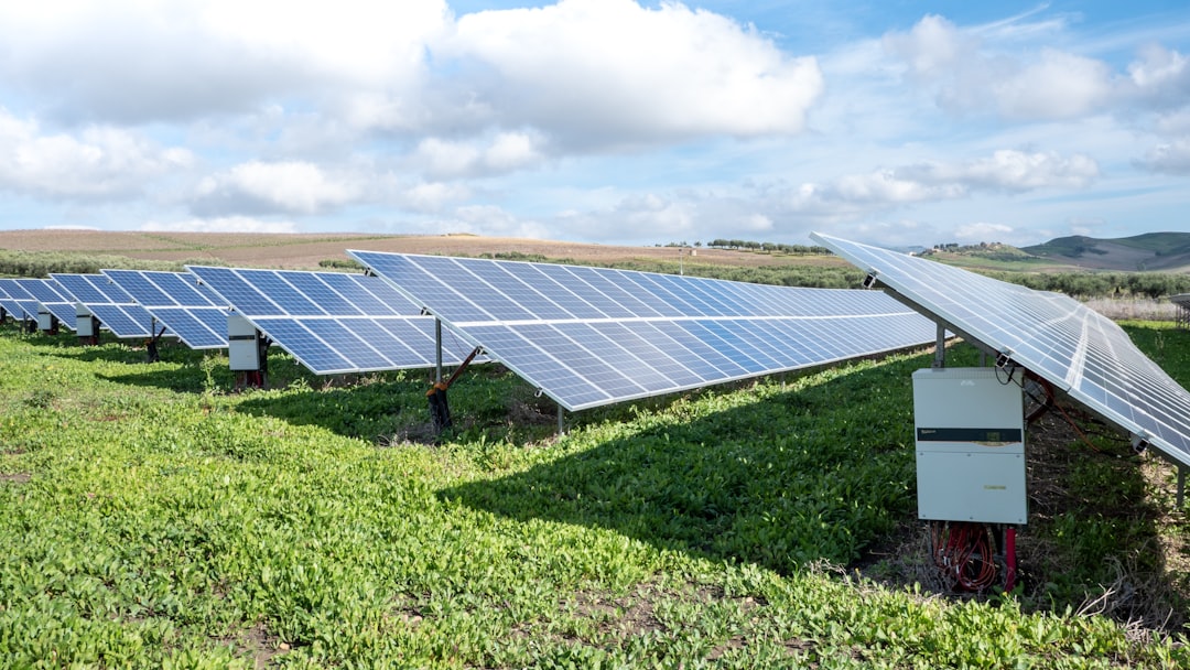Kaip dirbtinė fotosintezė gali pakeisti energijos gamybą? Mokslininkų vizija ir iššūkiai