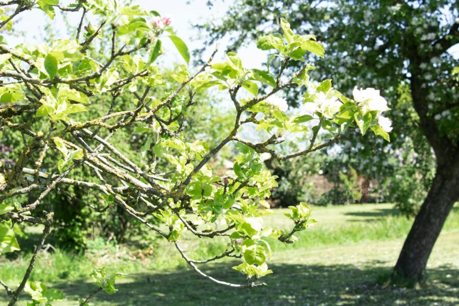 Pagrindinė iliustracija