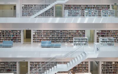 Kaip keičiasi mūsų santykis su bibliotekomis? Naujas tylos ir bendravimo balansas
