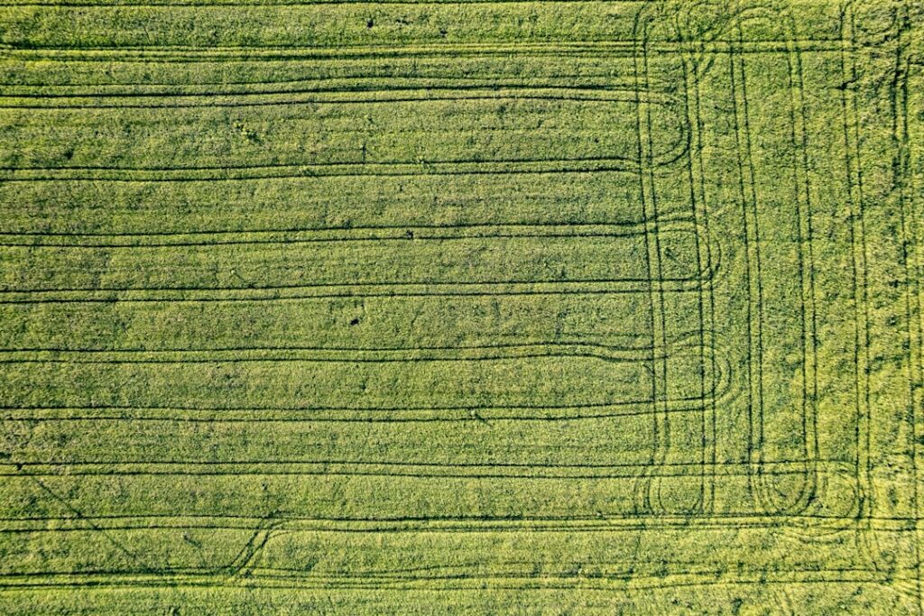 an aerial view of a field of green grass