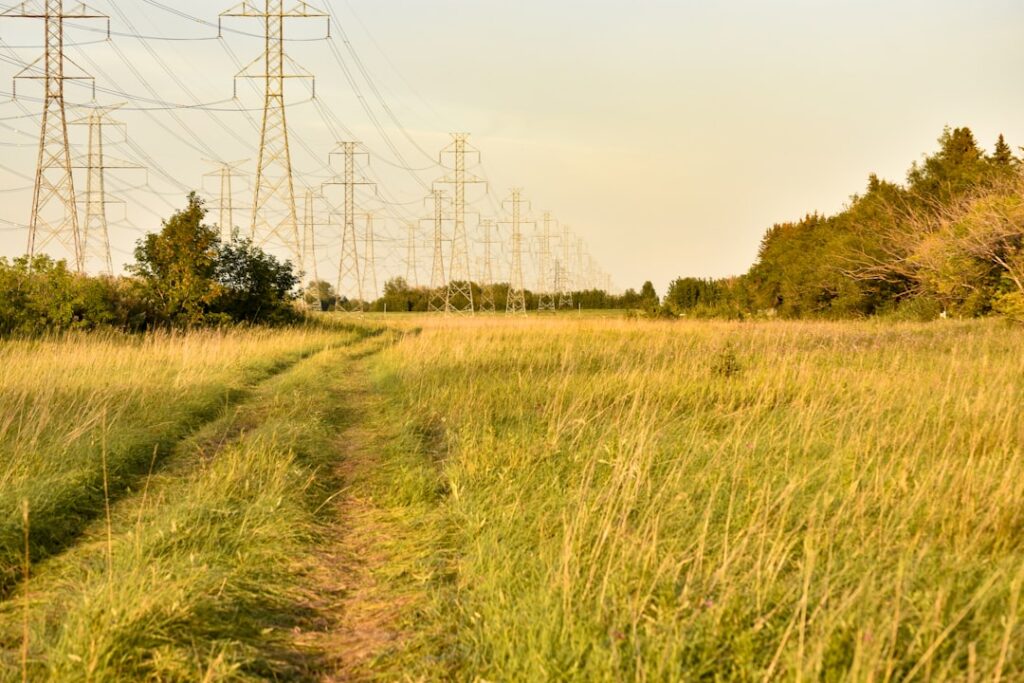 A dirt path through a grassy field with power lines.