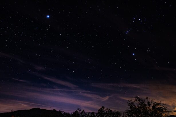 silhouette of trees under blue sky during night time