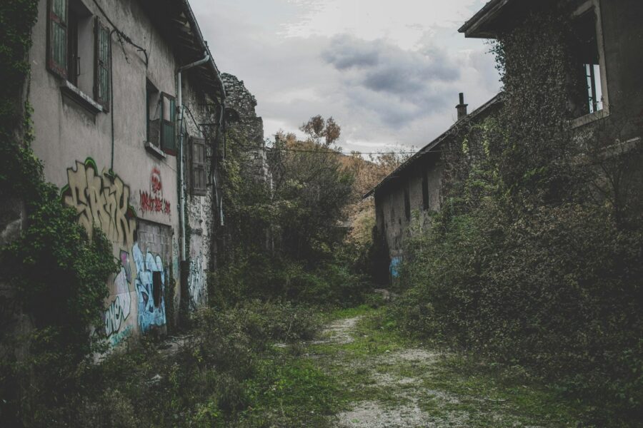 Pagrindinė iliustracija