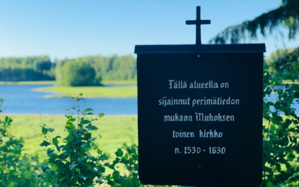 Kaip iš orkaitėje keptos vištienos ruošti kelis dienos valgymus? Idėjos užimtiems namams