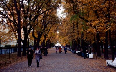 Kaip „žingsnių salos“ mieste padeda kūnui ir galvai? Paprastas būdas judėti kasdien