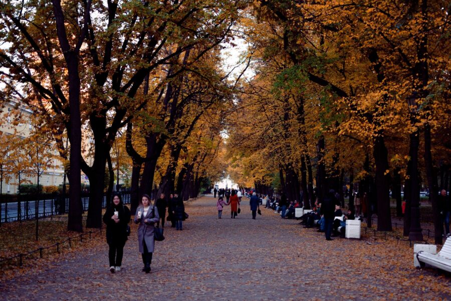 Pagrindinė iliustracija