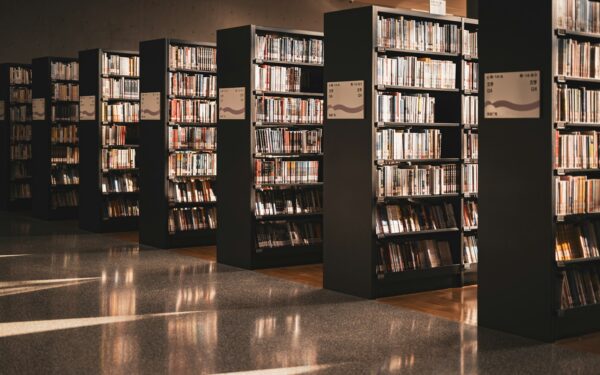 Kodėl vis daugiau knygų grįžta į regionų bibliotekas? Ramus kultūros atgimimas tarp lentynų