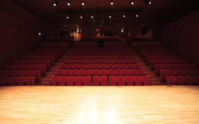 Ką iš tikrųjų veikia teatro kritikas? Mažai matoma grandis tarp scenos ir žiūrovo