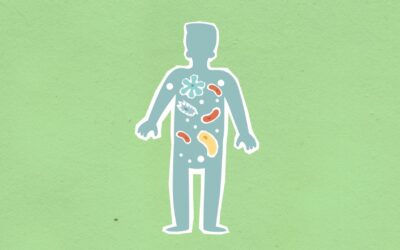 Kaip mūsų žarnyno „antrasis organas“ kalbasi su likusiu kūnu? Nauji atradimai apie mikrobiomą