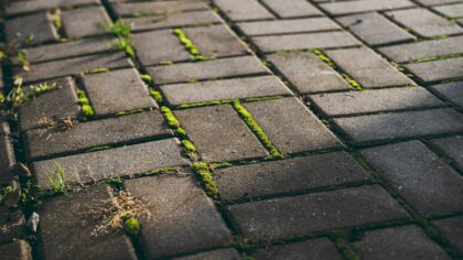 Kaip be chemijos pažaboti piktžoles tarp takelių ir plytelių? Veiksmingi būdai visam sezonui