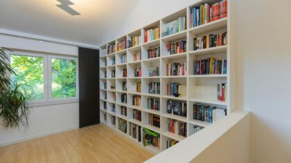 Kaip namų biblioteka tampa mūsų veidrodžiu? Ką apie mus pasako lentynose sustatytos knygos