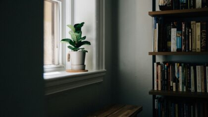 Kaip ant palangių ir radiatorinių lentynų patogiai laikyti daiktus? Idėjos tvarkingesniems kambariams