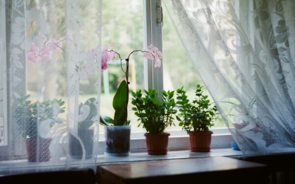 Kaip ant palangių ir siaurų paviršių sukurti jaukią mini erdvę? Idėjos be didelių pirkinių