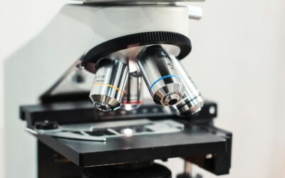 Kaip mažytiai Tardigradai išgyvena kosminį vakuumą? Mikroskopiniai gyvūnai, kurie neketina išnykti