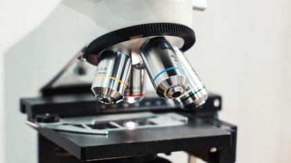Kaip mažytiai Tardigradai išgyvena kosminį vakuumą? Mikroskopiniai gyvūnai, kurie neketina išnykti